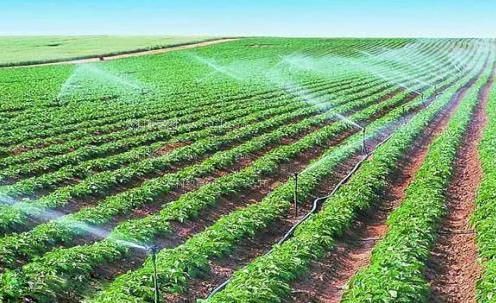 白人美女白虎吞精视频网站农田高 效节水灌溉